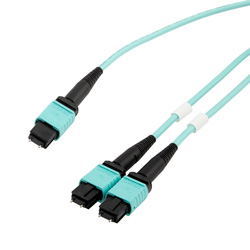 MPO24带引脚到2xMPO12带引脚，OM4 50 / 125um多模，LSZH护套，水蓝色，1米的图片