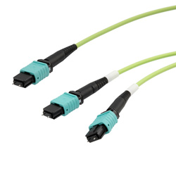 MPO24带引脚到2xMPO12带引脚，OM5 50 / 125um多模，LSZH护套，柠檬绿，1米的图片